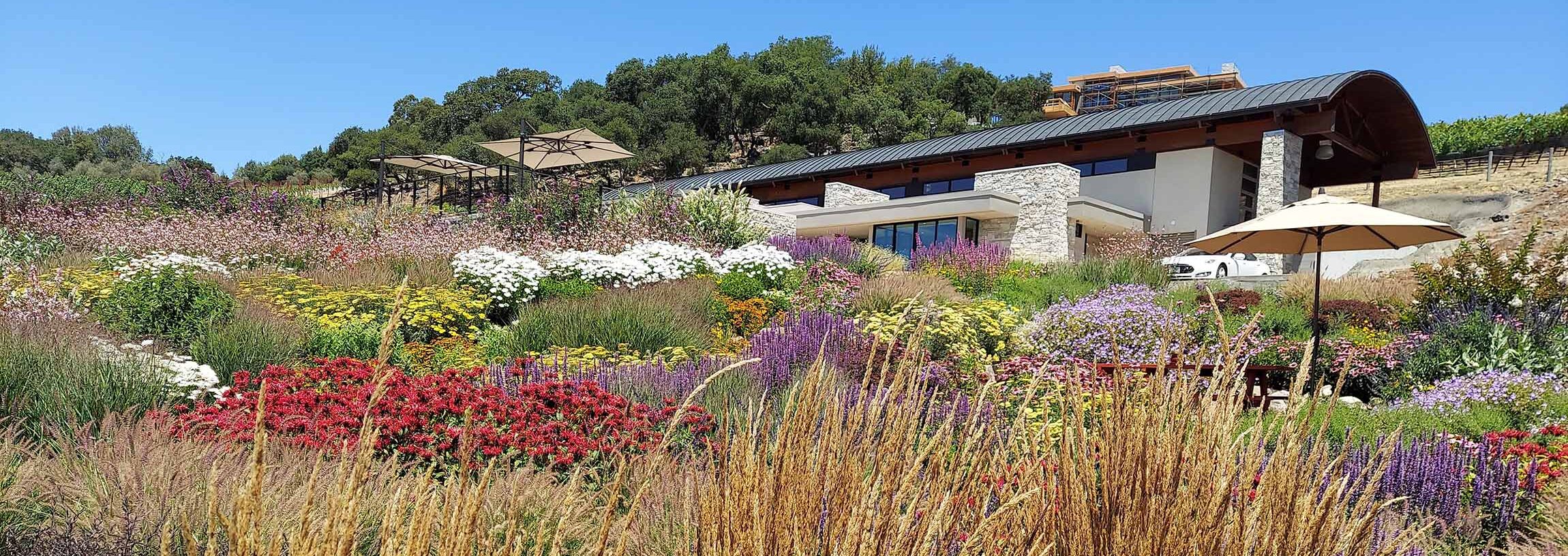 Eco-Friendly Landscaping: Sustainable Practices for a Greener Garden Banner