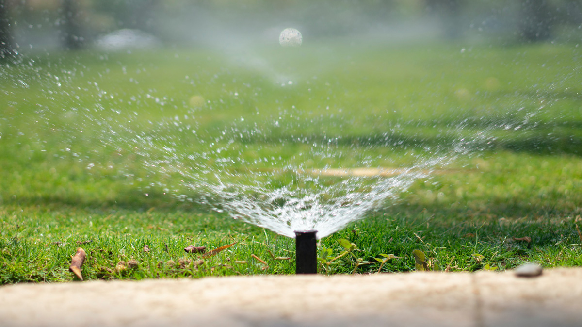 6 Ways to Conserve Water in Your Landscape