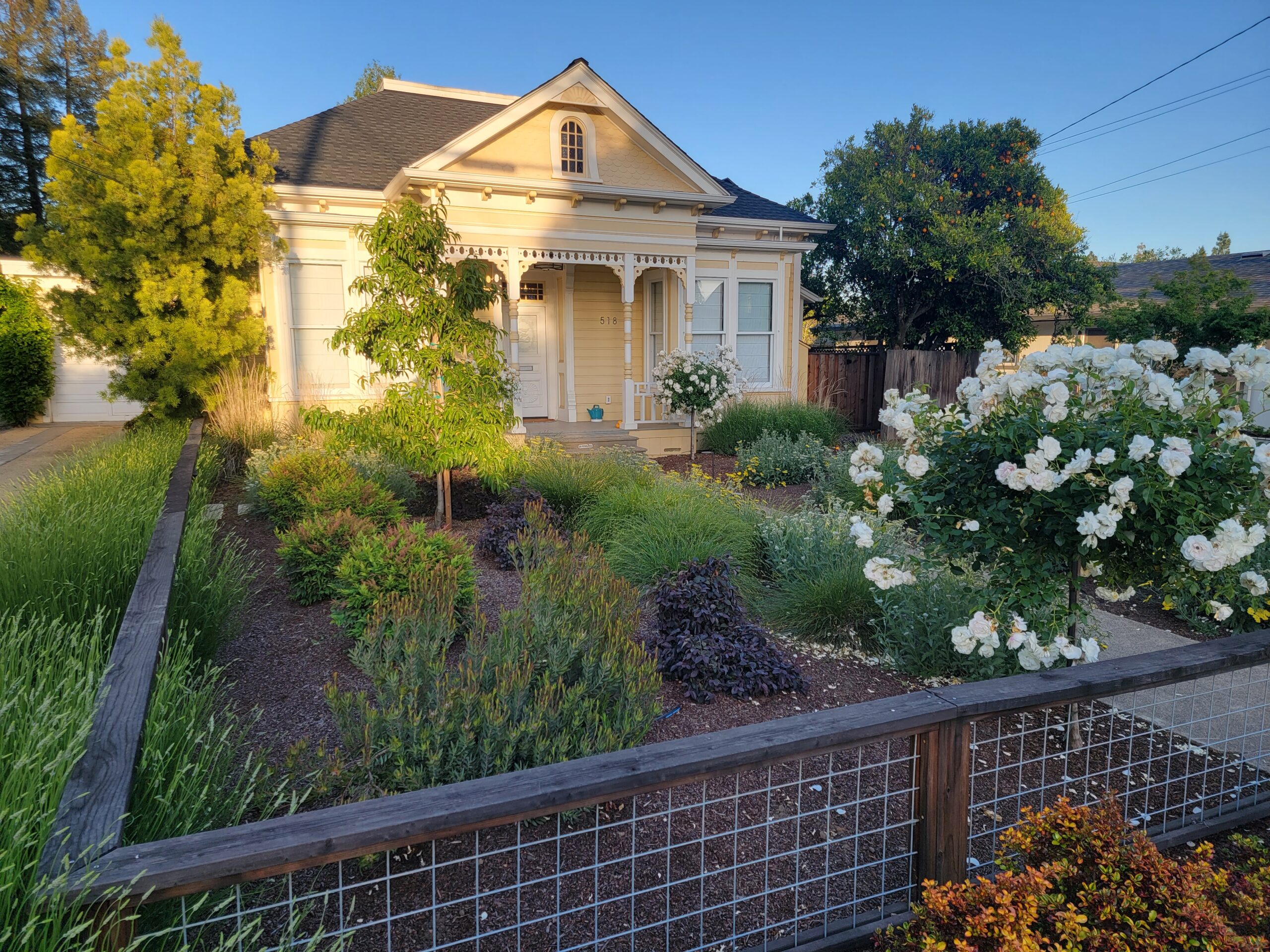 Small Front Yard Of A Home With Luscious Greenery And Landscaping