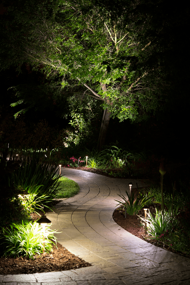 Brick Path Through A Garden Light Up At Night