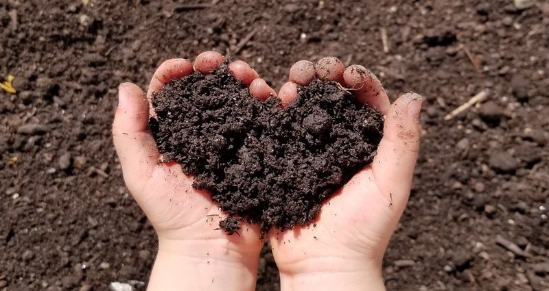 Composting for Your Plants and the Planet!
