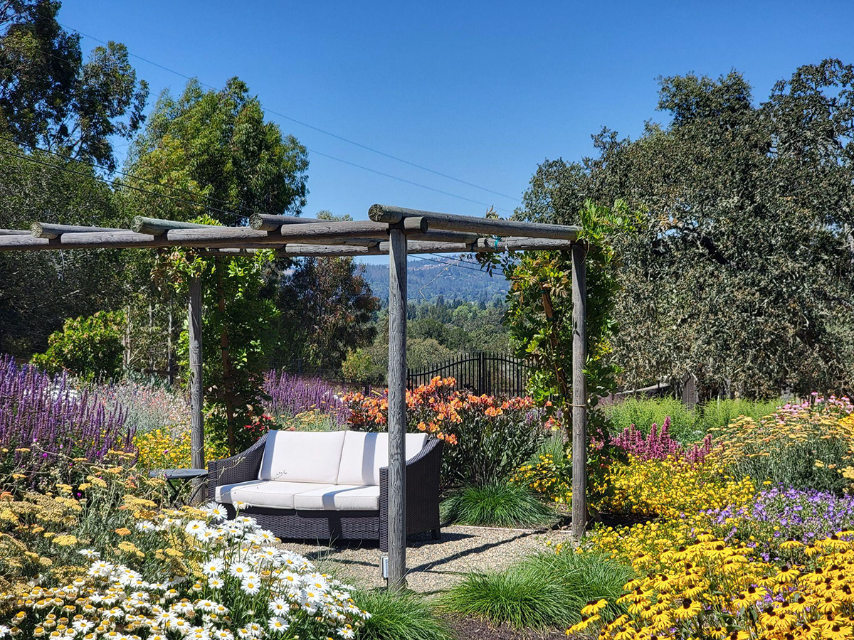 Outdoor seating nestled amongst colorful trees and plants.