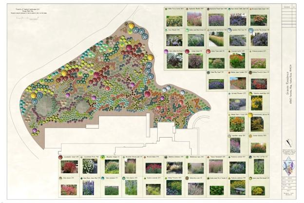 Landscape design plan with images of different colored plants.