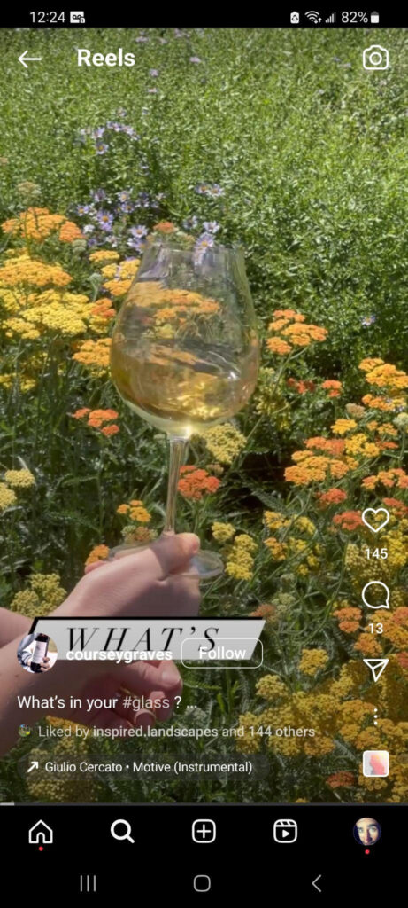 White wine in front of yellow flowers, Red wine in front of blue and pink flowers. 