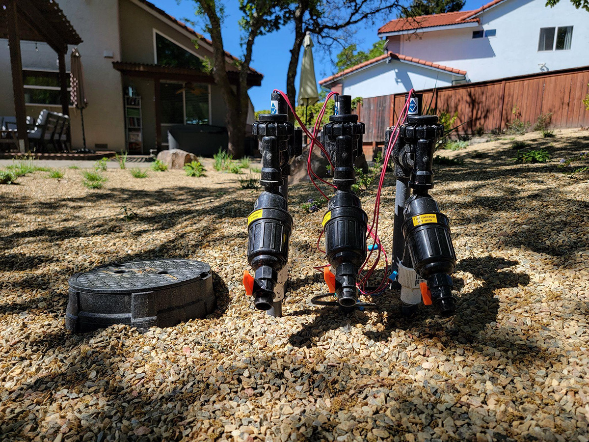 Stone pebble floor with three black irrigation systems set up in a row.