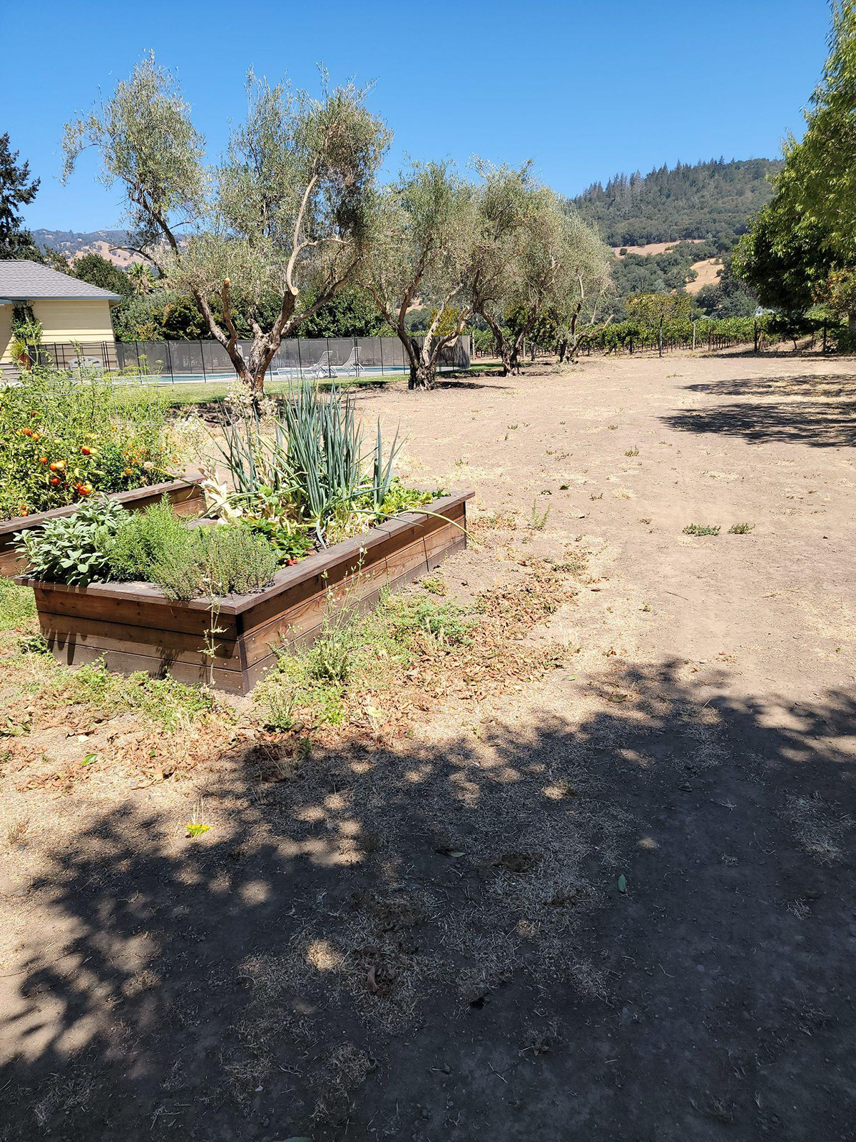 Open land with planter boxes with green plants and trees in the background