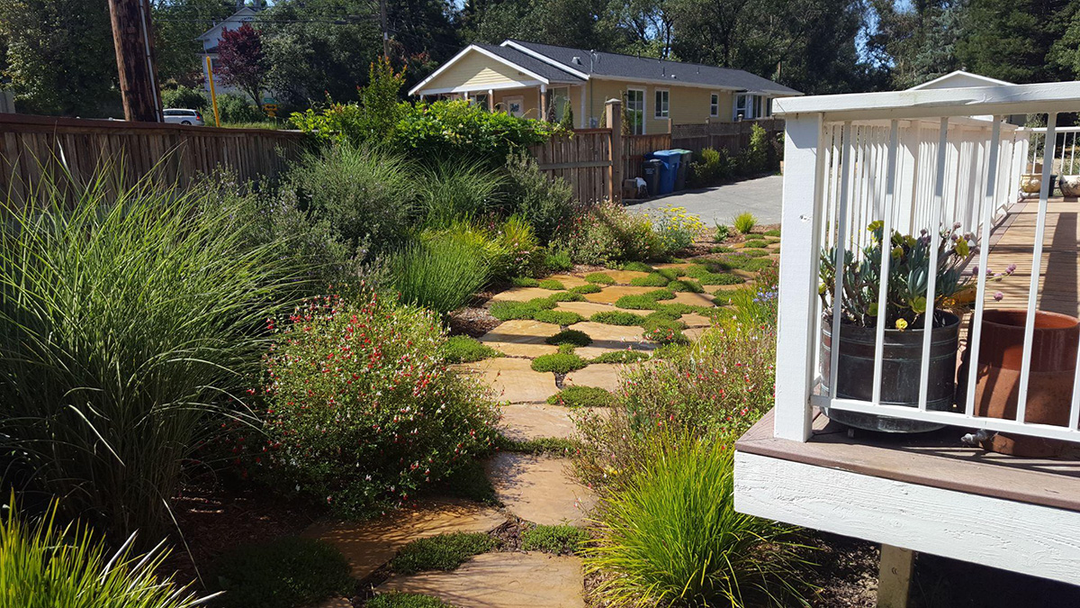 A path in a backyard