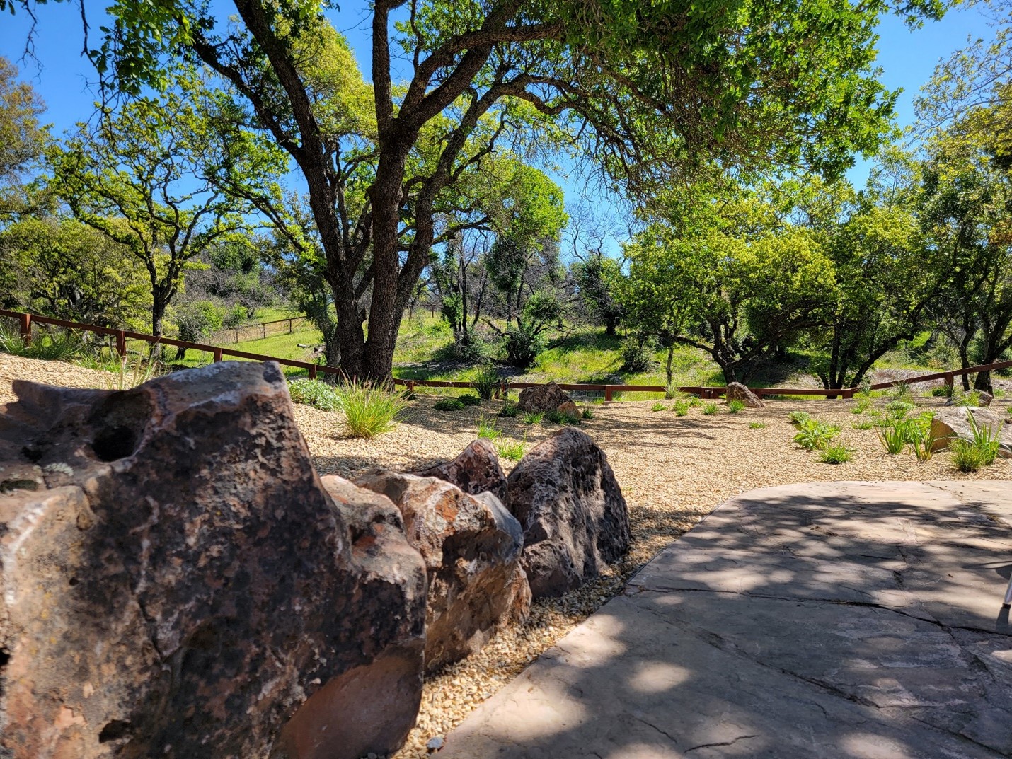 a stone path with large rocks and trees in the background