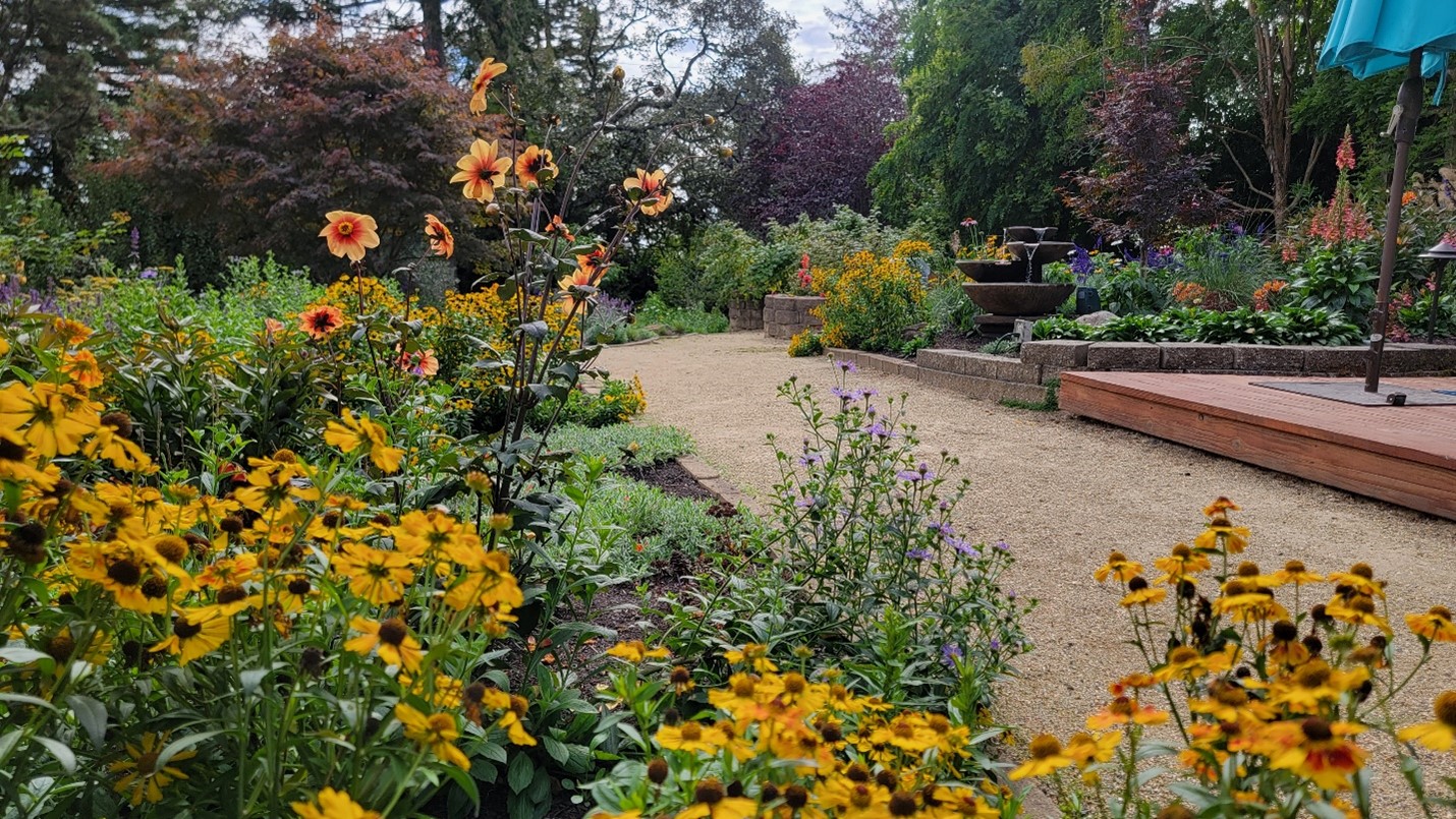 a garden with flowers and a stone path