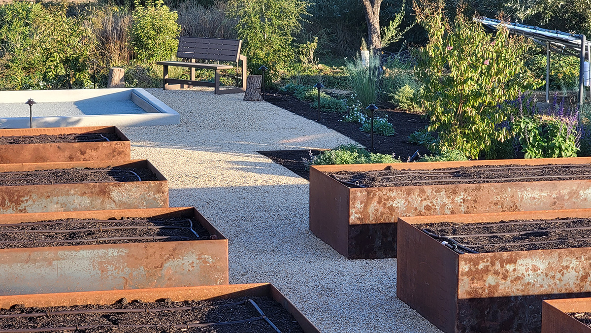 a garden with a bench and plants 