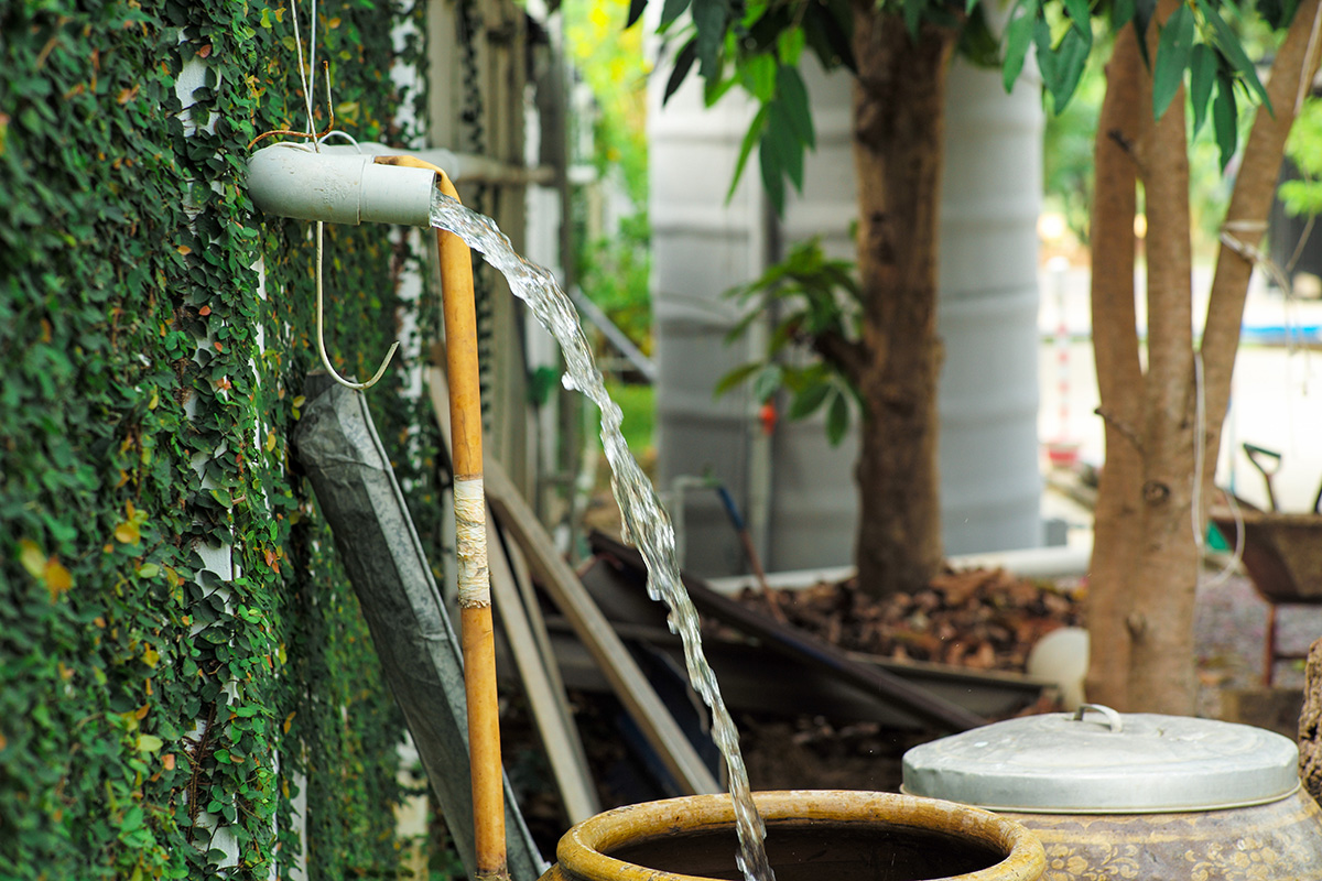 Conserve Like a Pro: Water Saving Techniques for Your Outdoor Space