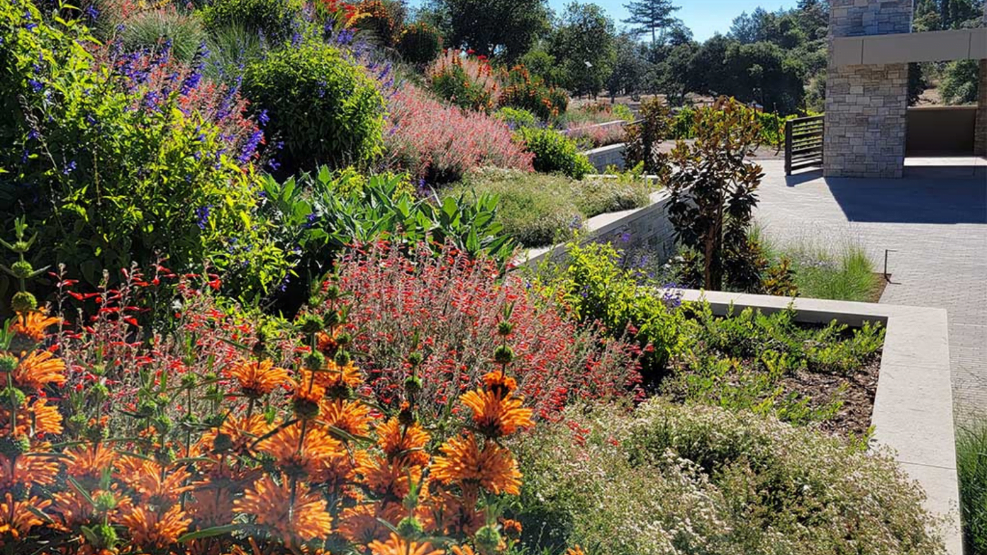 A large piece of landscaping with various kinds of flowers and bushes.