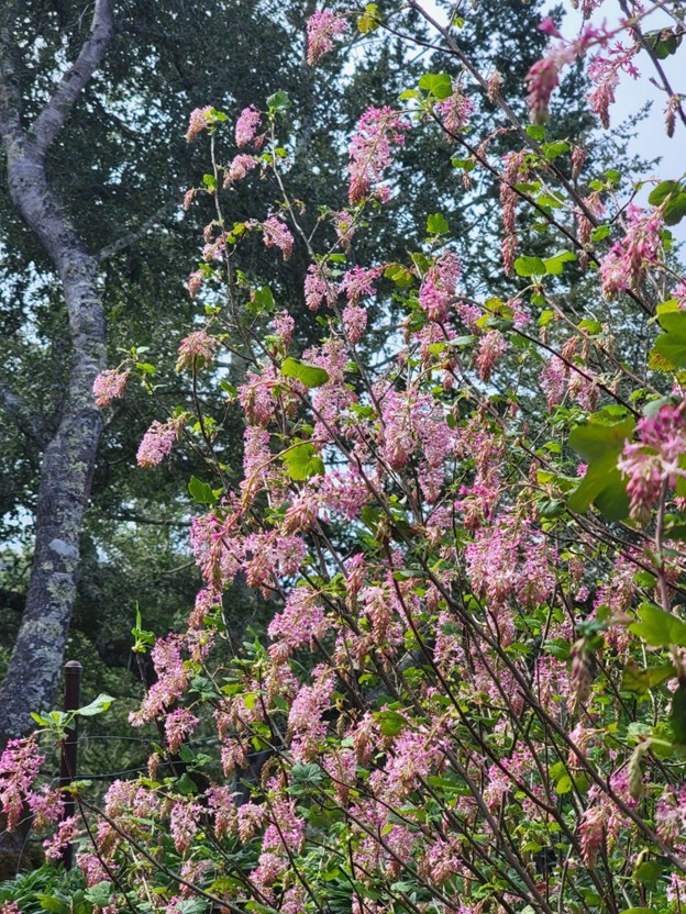 Blooming Beautiful: Planting for Every Season