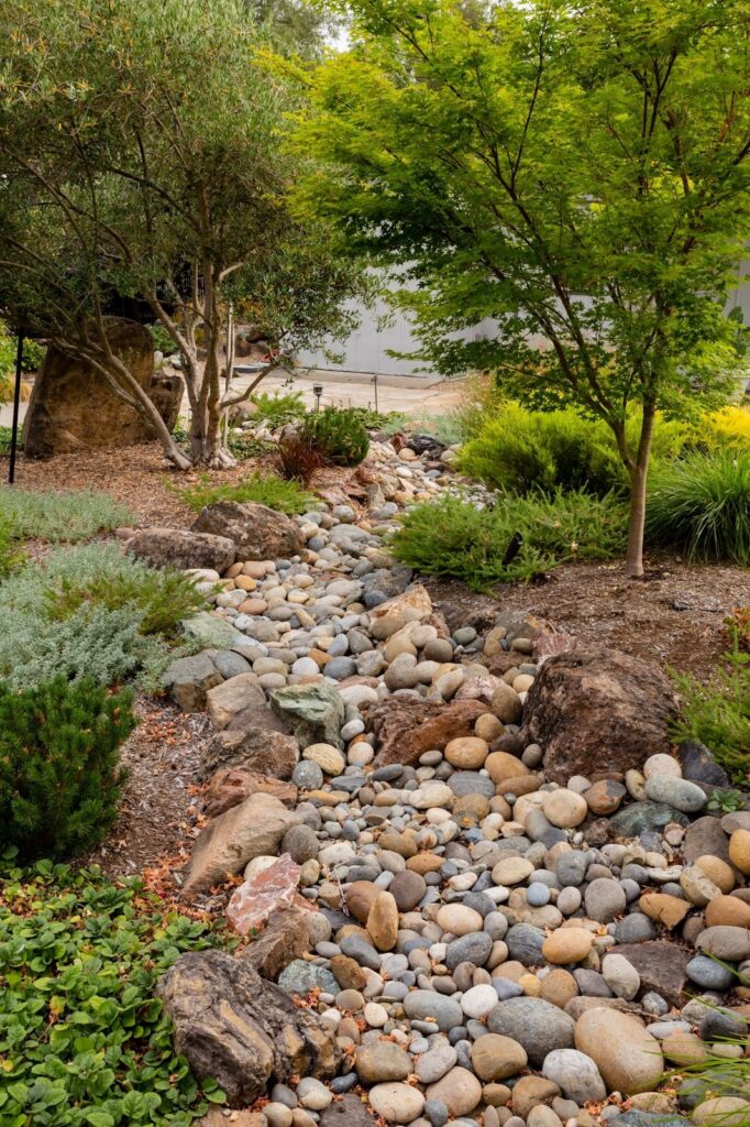 A rock garden with slow growing coniferous plants