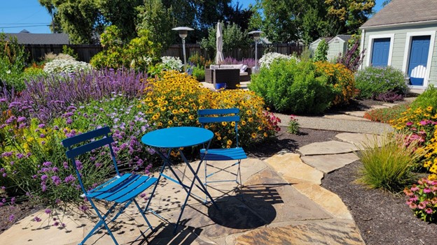 A thriving summer garden we installed and maintain in Petaluma using compost mulch.