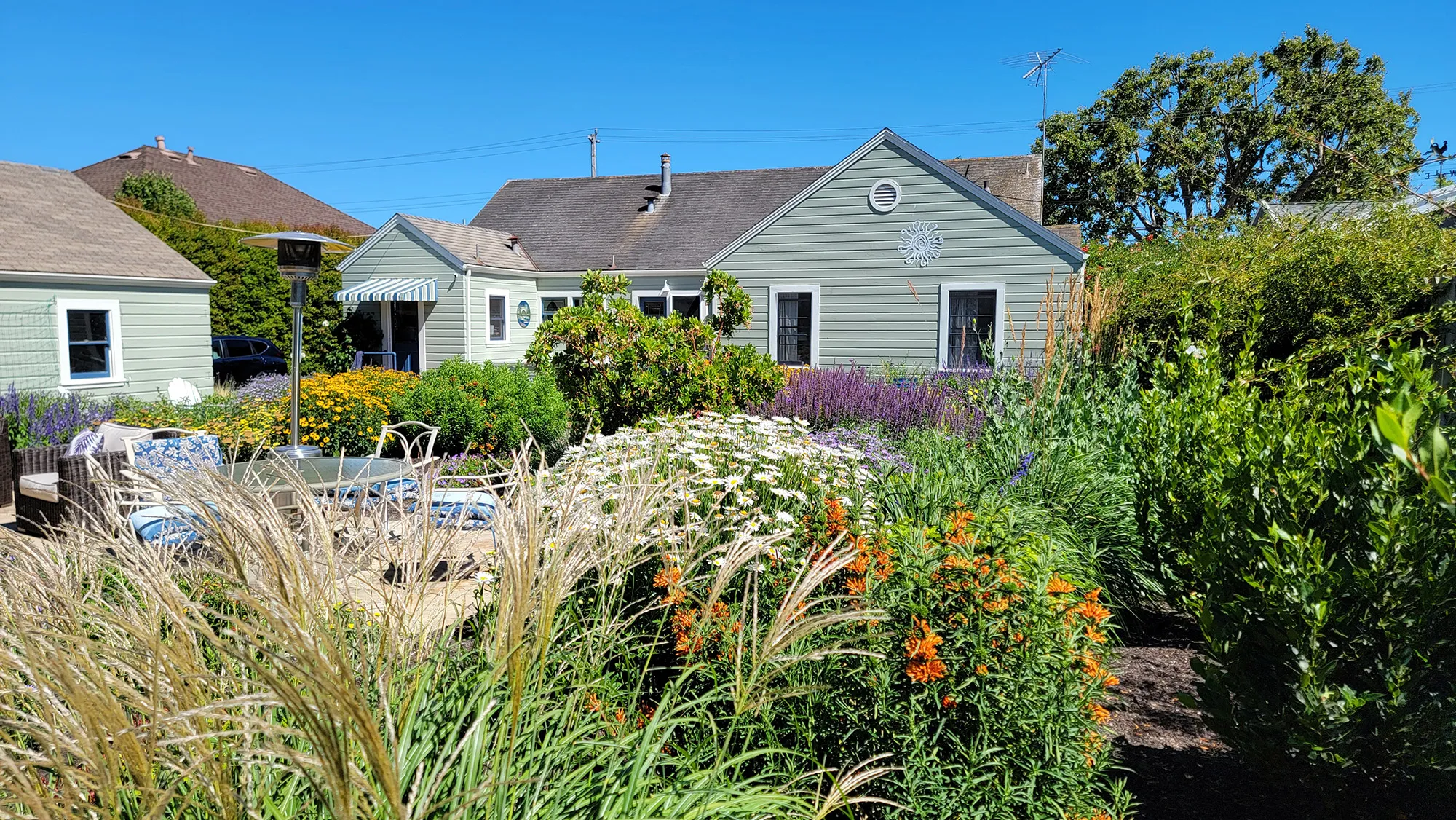 Petaluma Pollinator Hideaway image