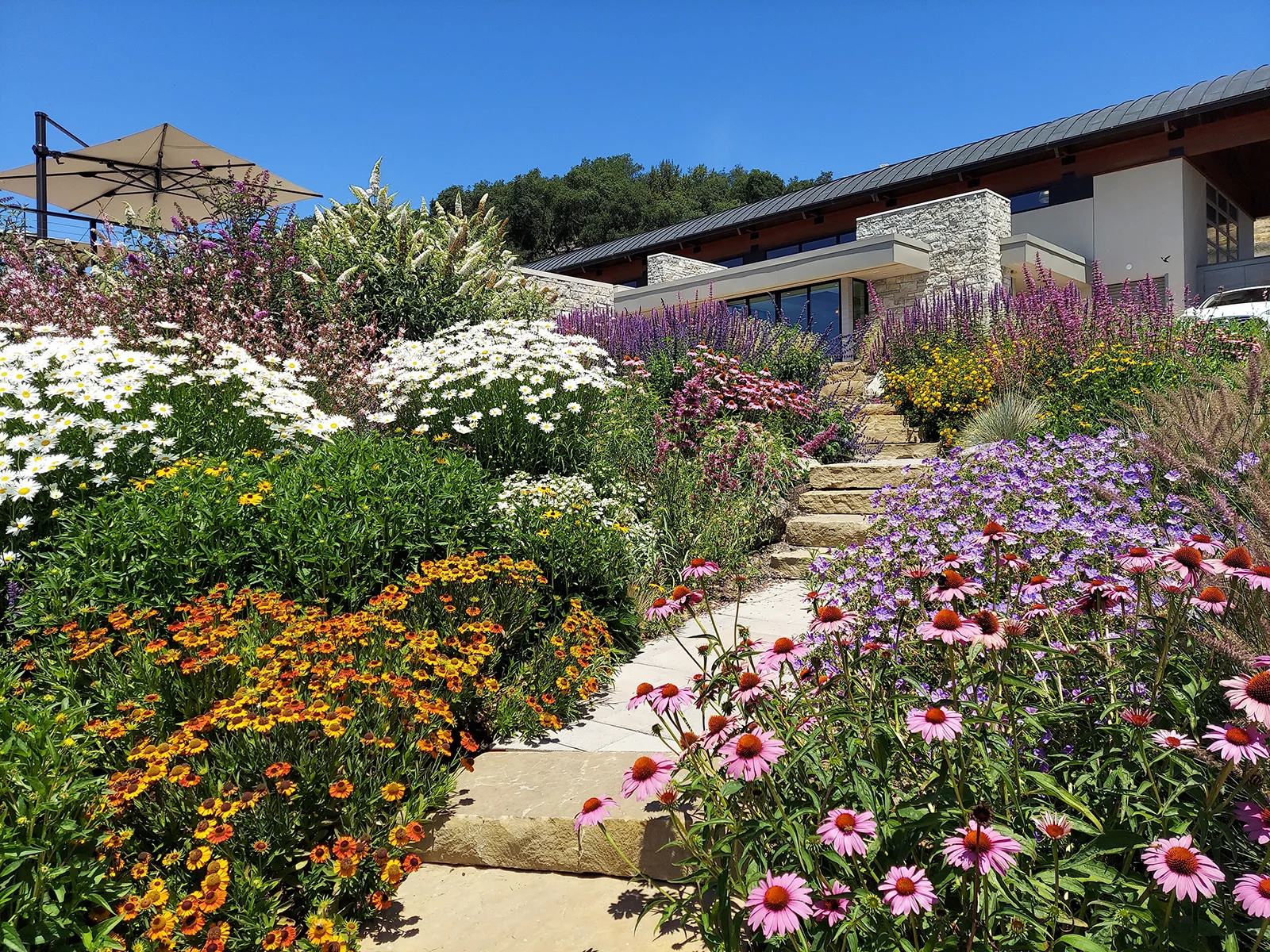 Coursey Graves Winery