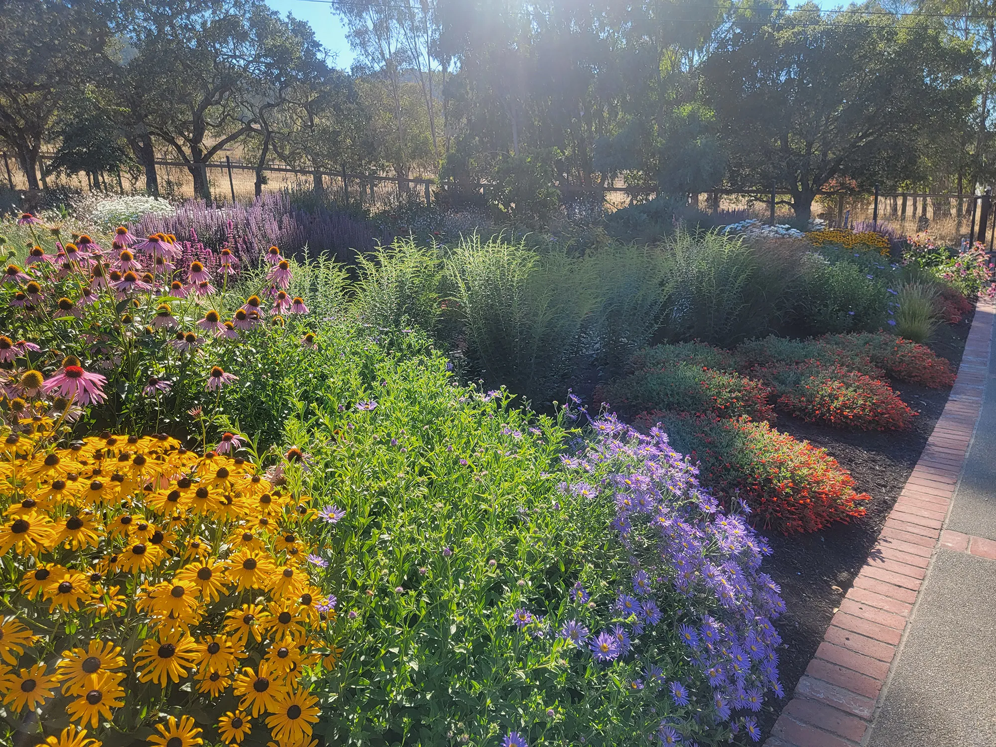 Coursey Graves Winery