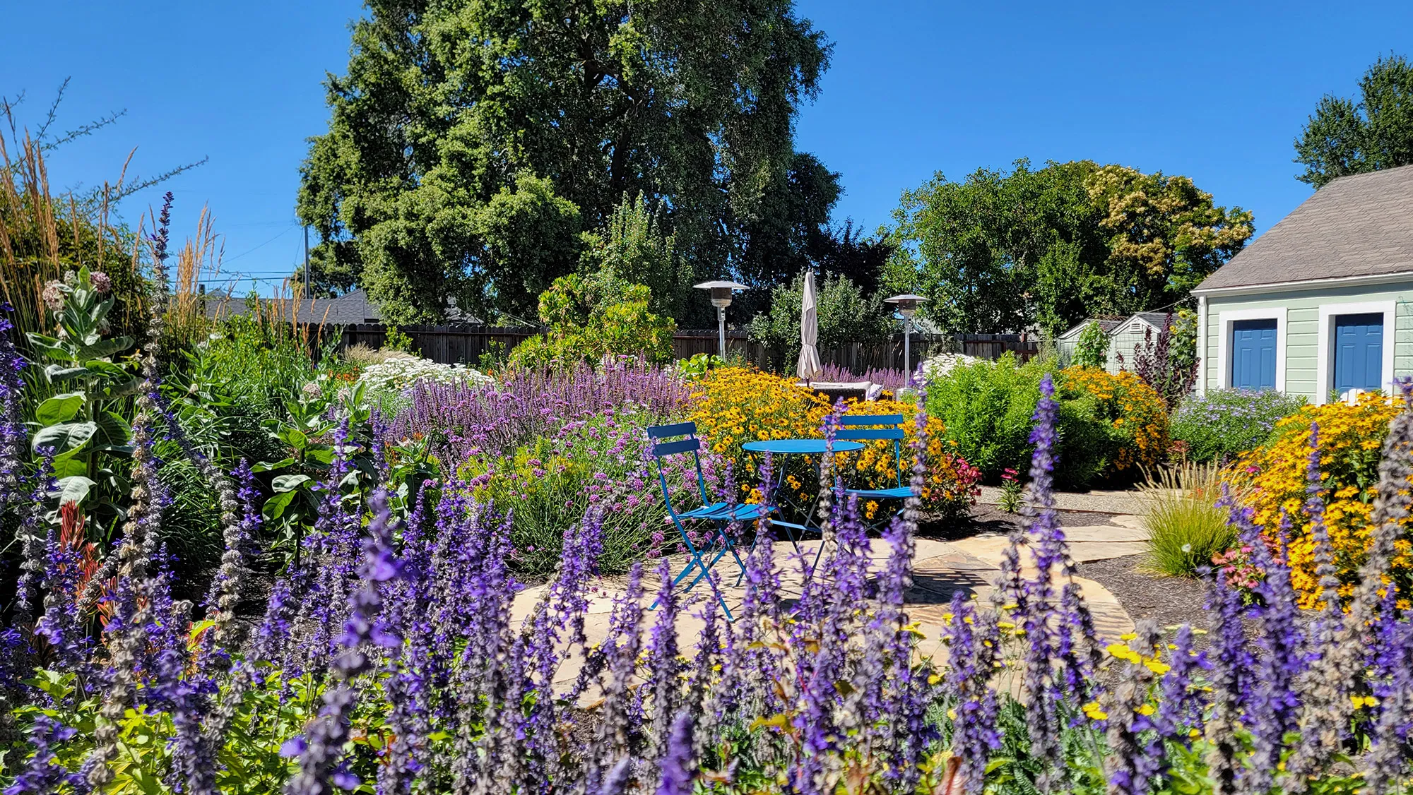 Petaluma Pollinator Hideaway image