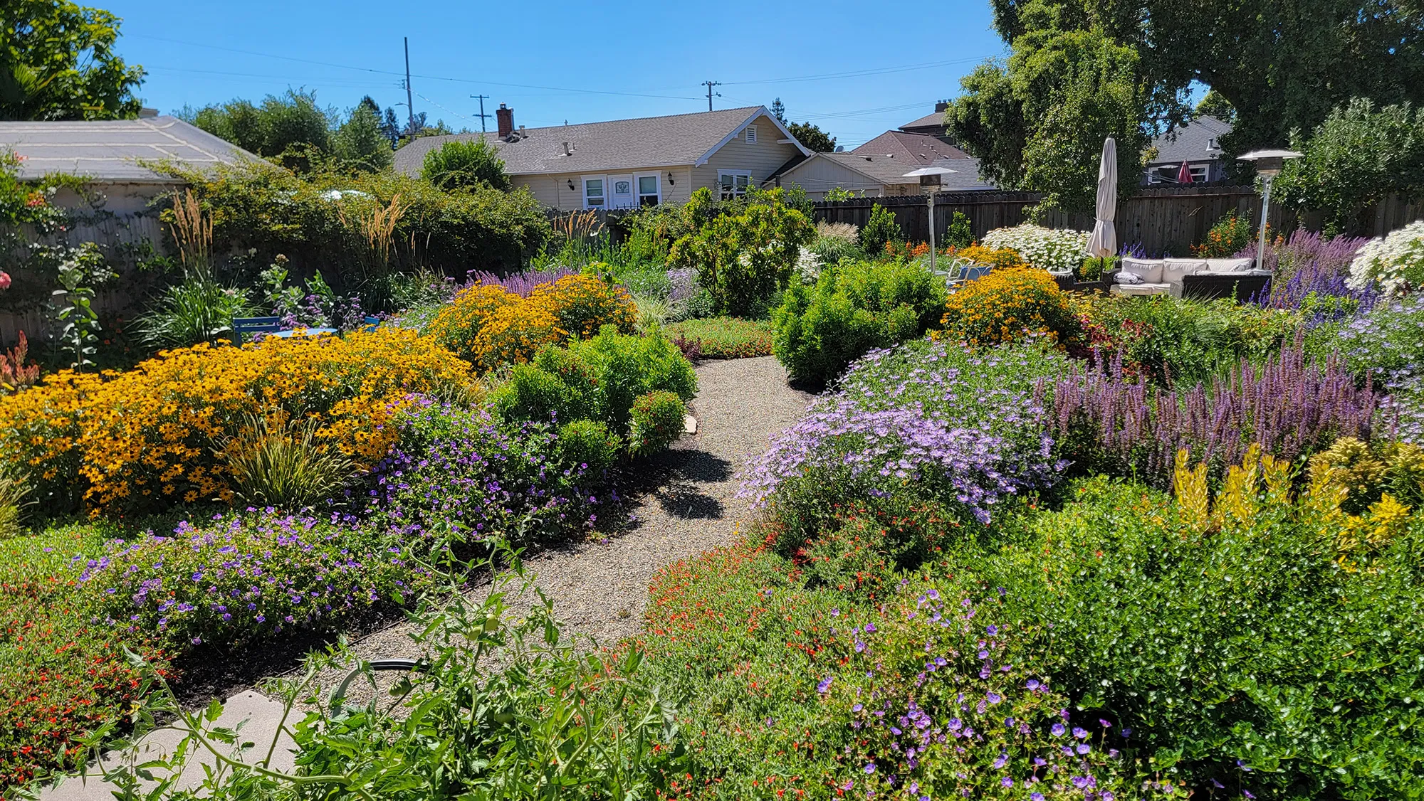 Petaluma Pollinator Hideaway image