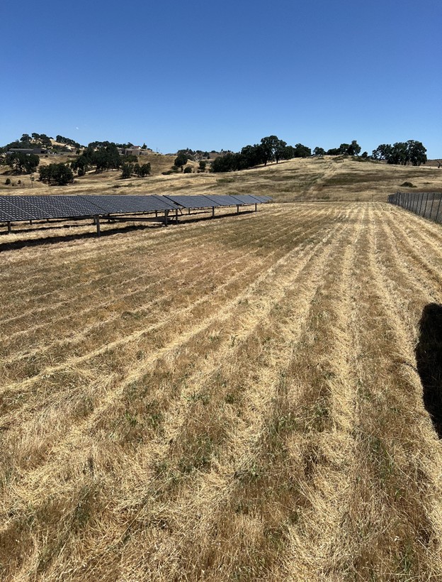 Freshly cut grass to create a fire safe perimeter around a solar panel field in Lakeport