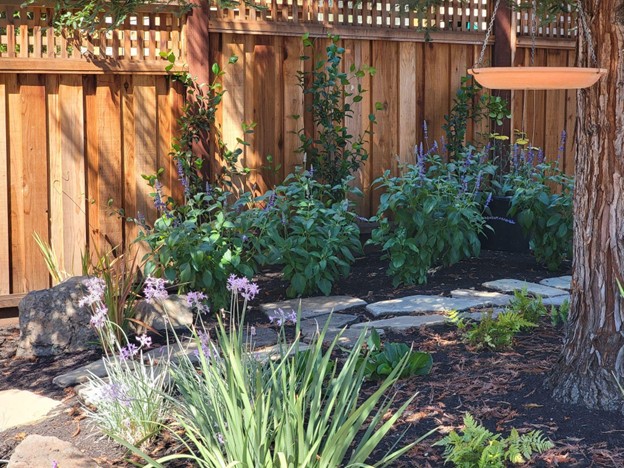 A serene backyard garden featuring a wooden fence and a bird feeder, inviting nature and tranquility into the space