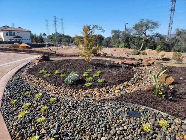 An outdoor landscaping project showcasing a harmonious blend of rocks and lush plants, enhancing the natural beauty of the area.