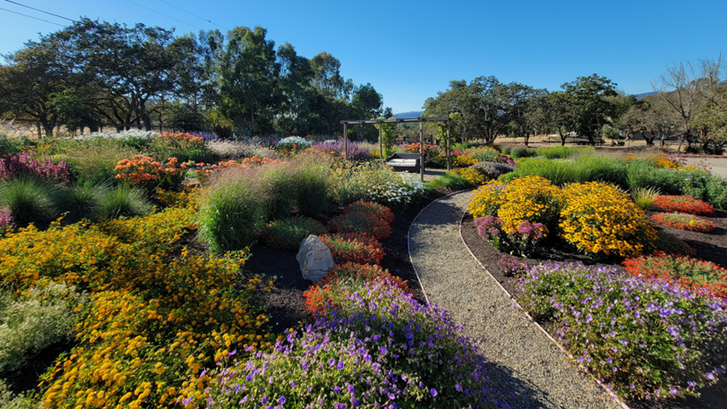 A gravel pathway running through a blooming landscape next to a seating area.