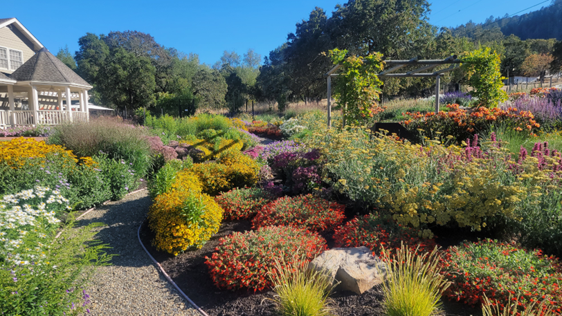A large, blooming landscape next to a home with a gazebo.
