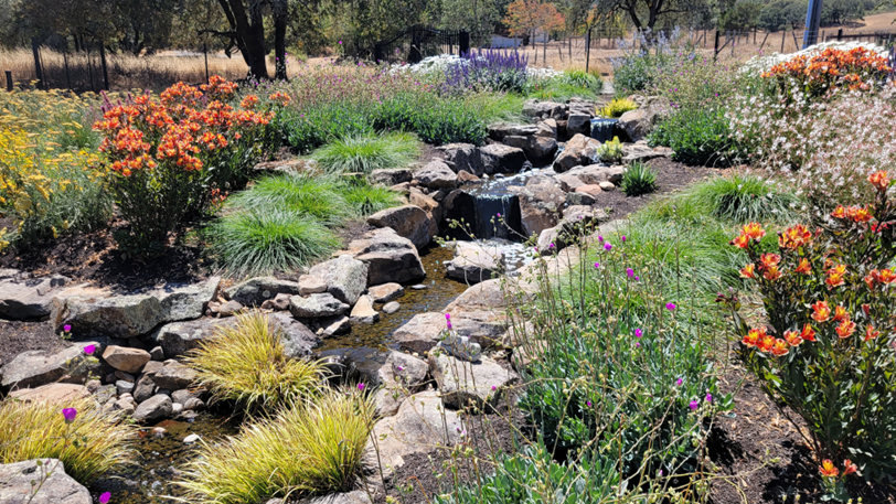 Colorful landscaping surrounding a man-made creek with small waterfalls.