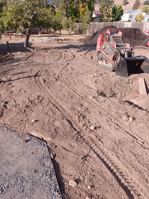 A site that has been cleared for a new landscape that left mature fruit trees in place as part of the new landscape rather than removing them in Bennett Valley.