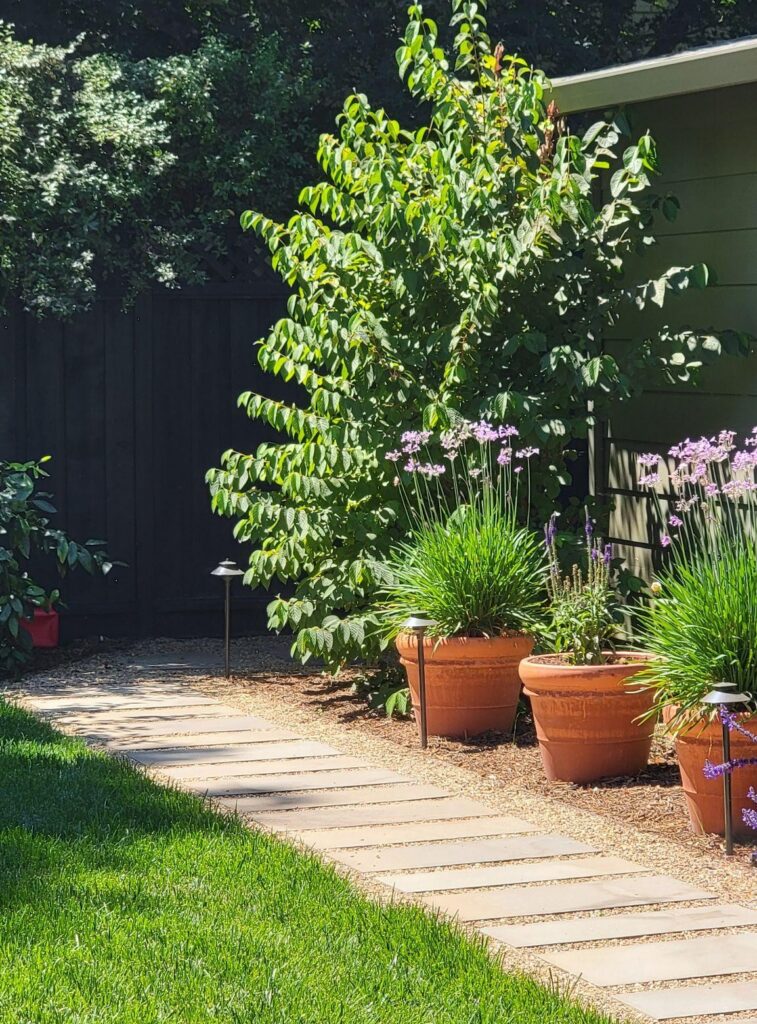 A healthy lawn with a waterwise sustainable spray irrigation system by Inspired Landscapes in Healdsburg.