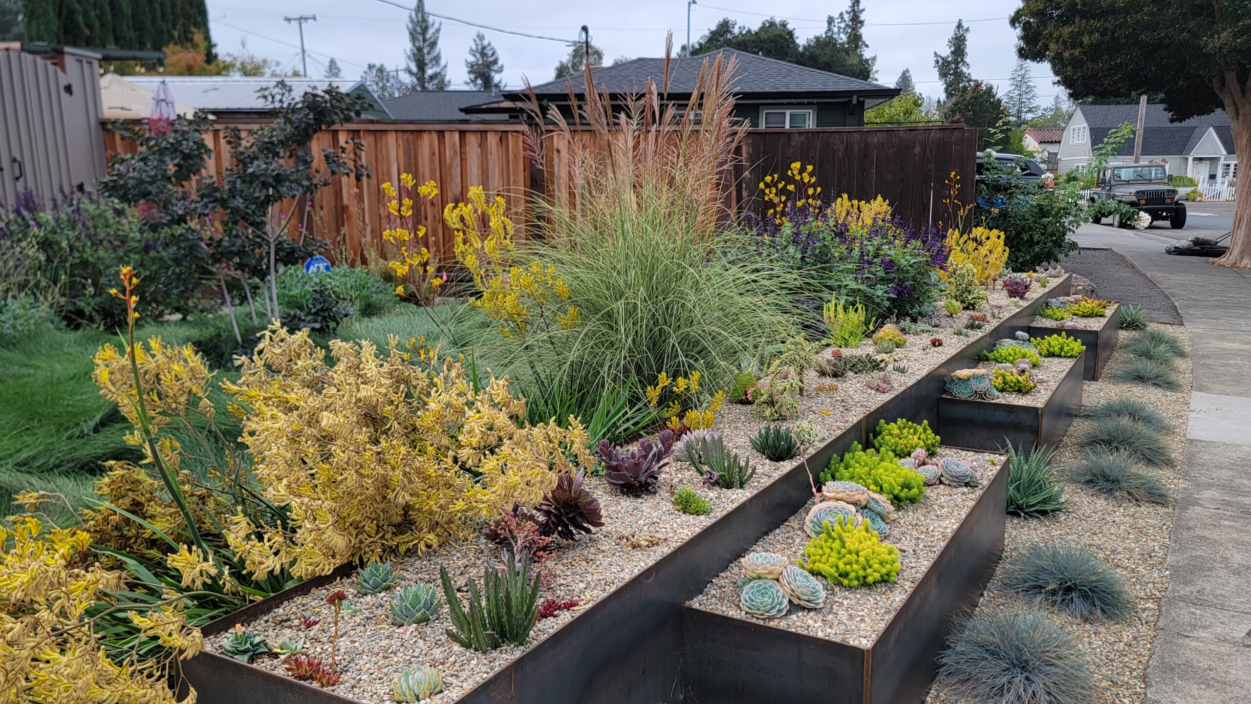 A thriving landscape where each zone utilized different amendment techniques.