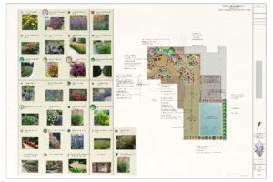 Architectural landscape plans.