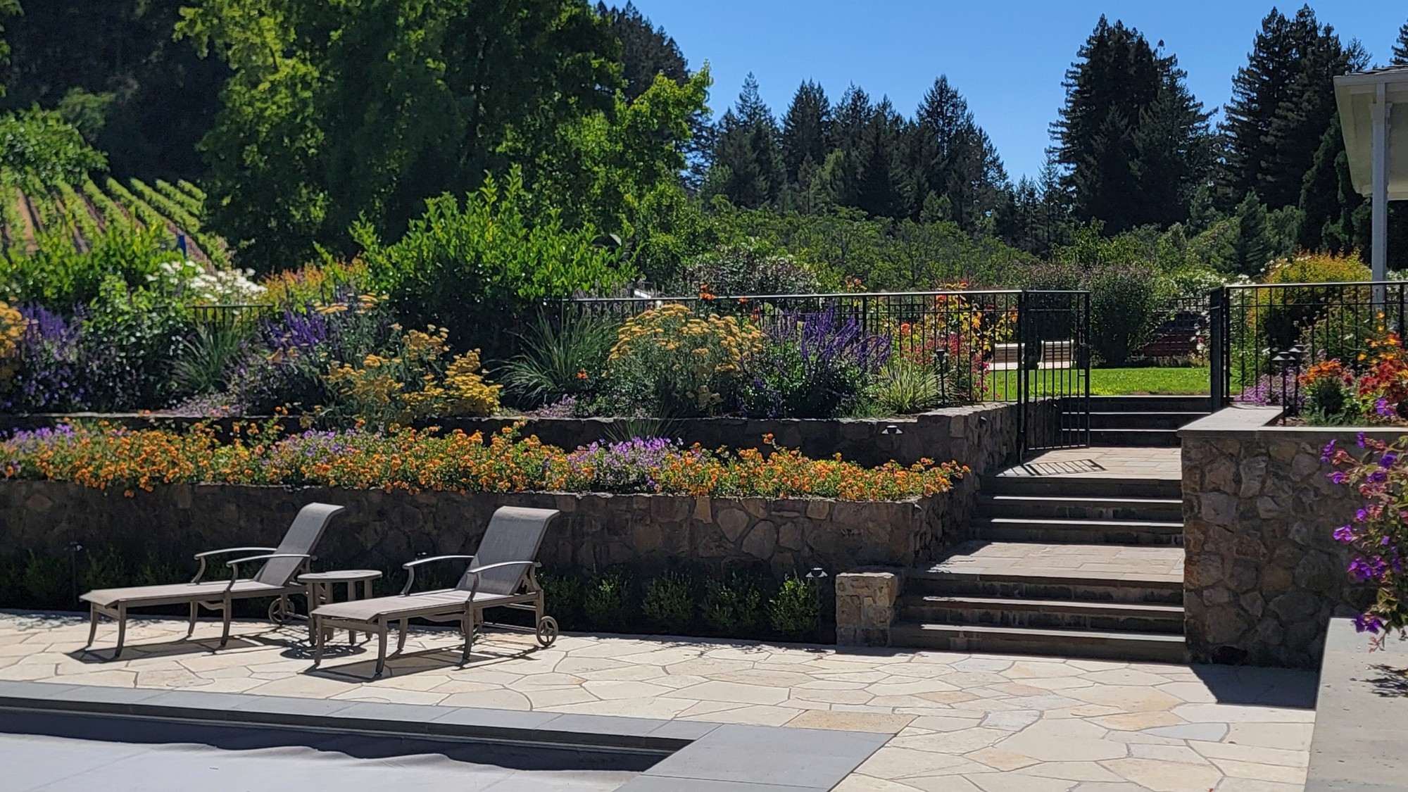 Poolside landscaping in tiered, natural stone garden beds growing colorful flowers.