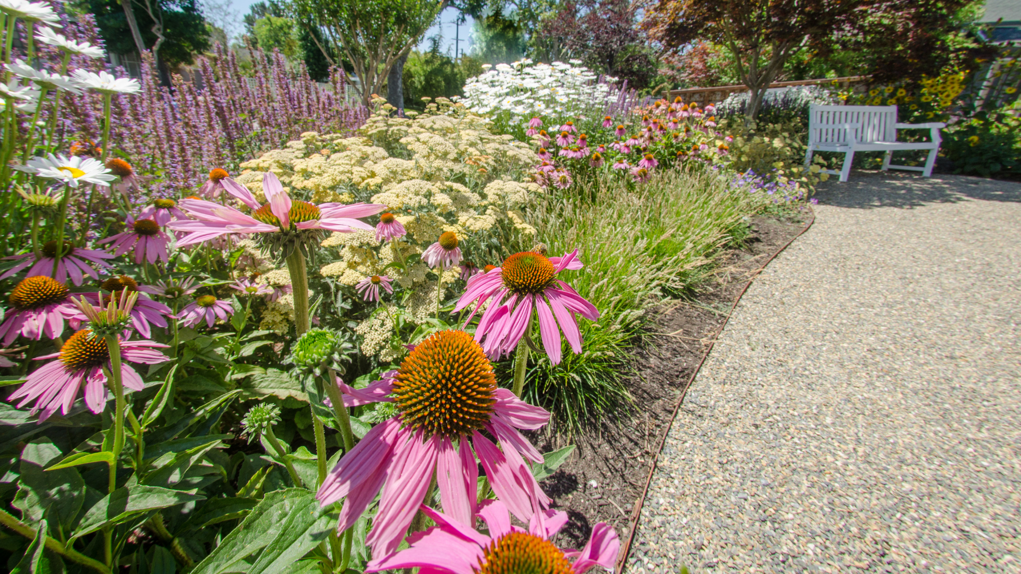 A bright pink flower with a large yellow pistil in the foreground of a lush flowery landscape.
