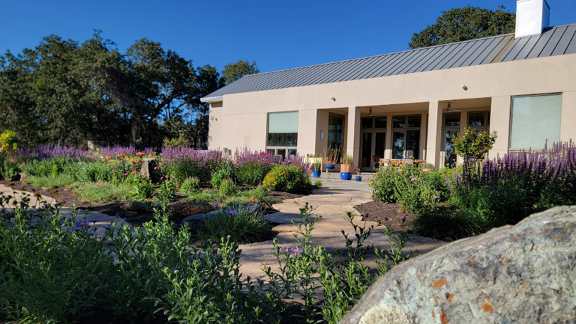 A commercial outdoor area with lush purple and green landscaped plants.
