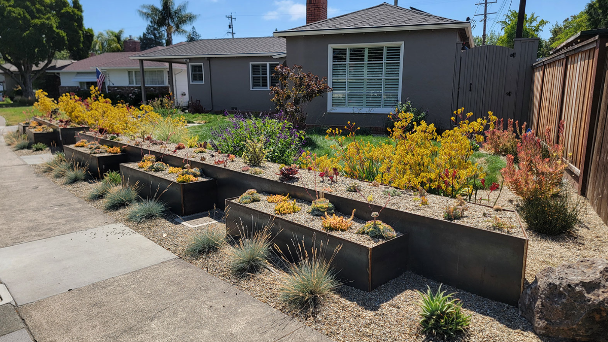 A water efficient and beautiful landscape surrounding a Santa Rosa home.