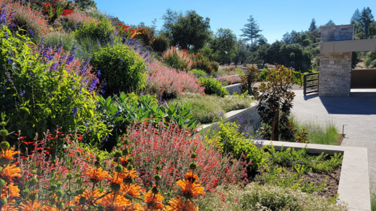 A colorful, thriving landscape on the hillside of a property with effective irrigation installed.