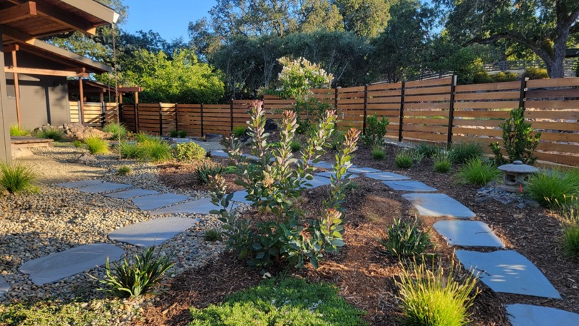 A beautiful and unique sustainable yard design with stone paths and lush plants.