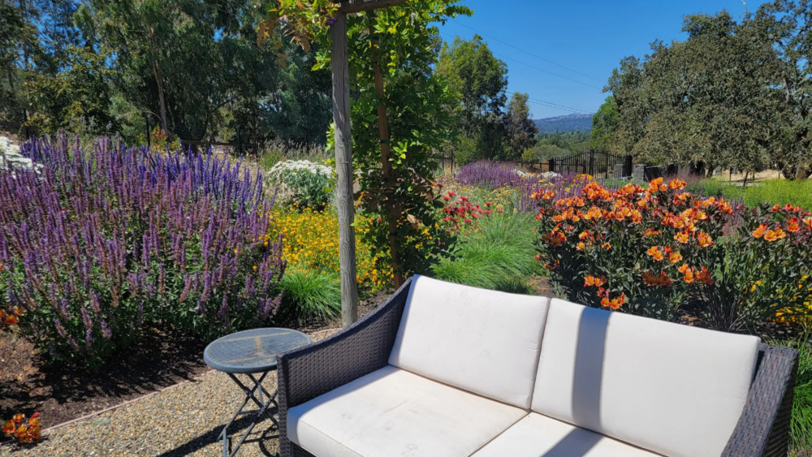 A colorful landscape with plants that sustain pollinator animals near an outdoor couch.