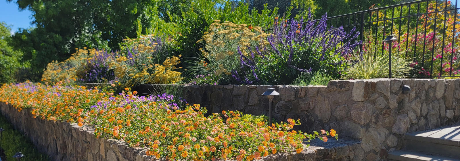 Calistoga Pool and Farmhouse Banner