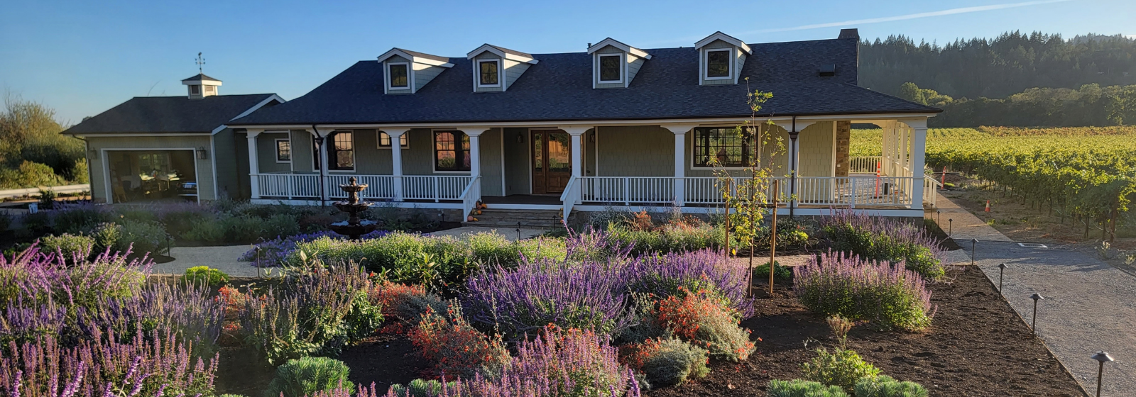 Dry Creek Contemporary Ranch Banner