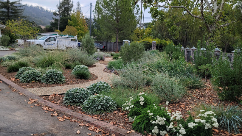Landscaping with newly a installed efficient irrigation system in the front yard of a home.