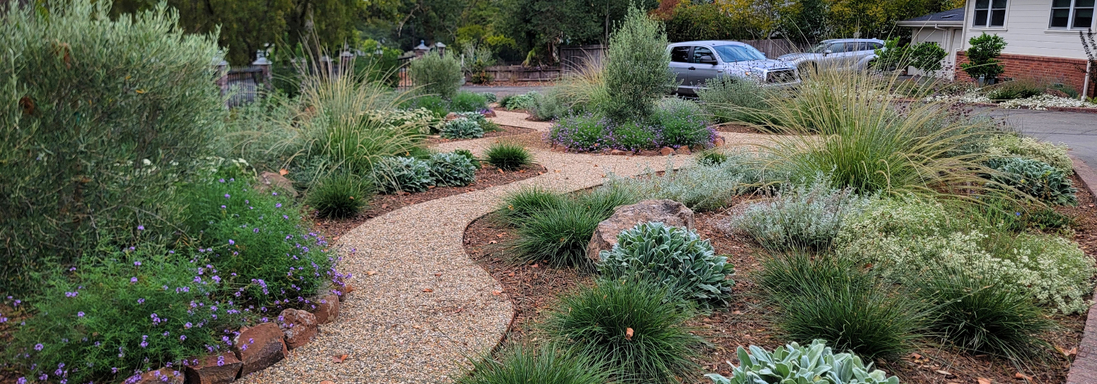 Rincon Valley Native Courtyard Banner