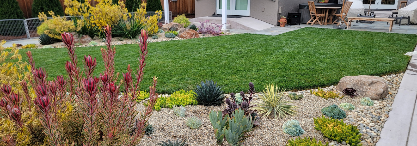 Succulent Pool Garden Banner