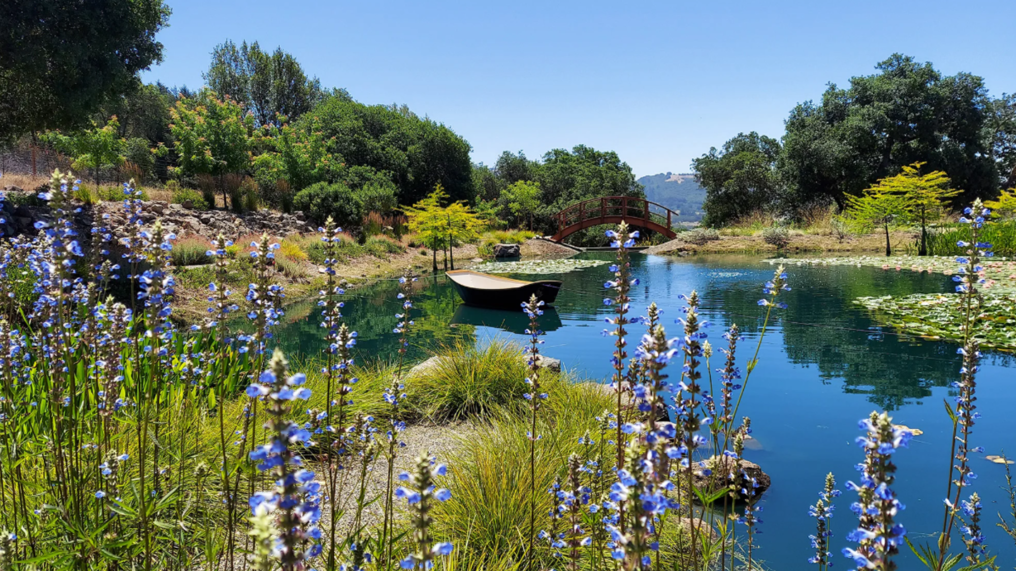 A large pond surrounded by landscaping that is blooming beautifully in spring.