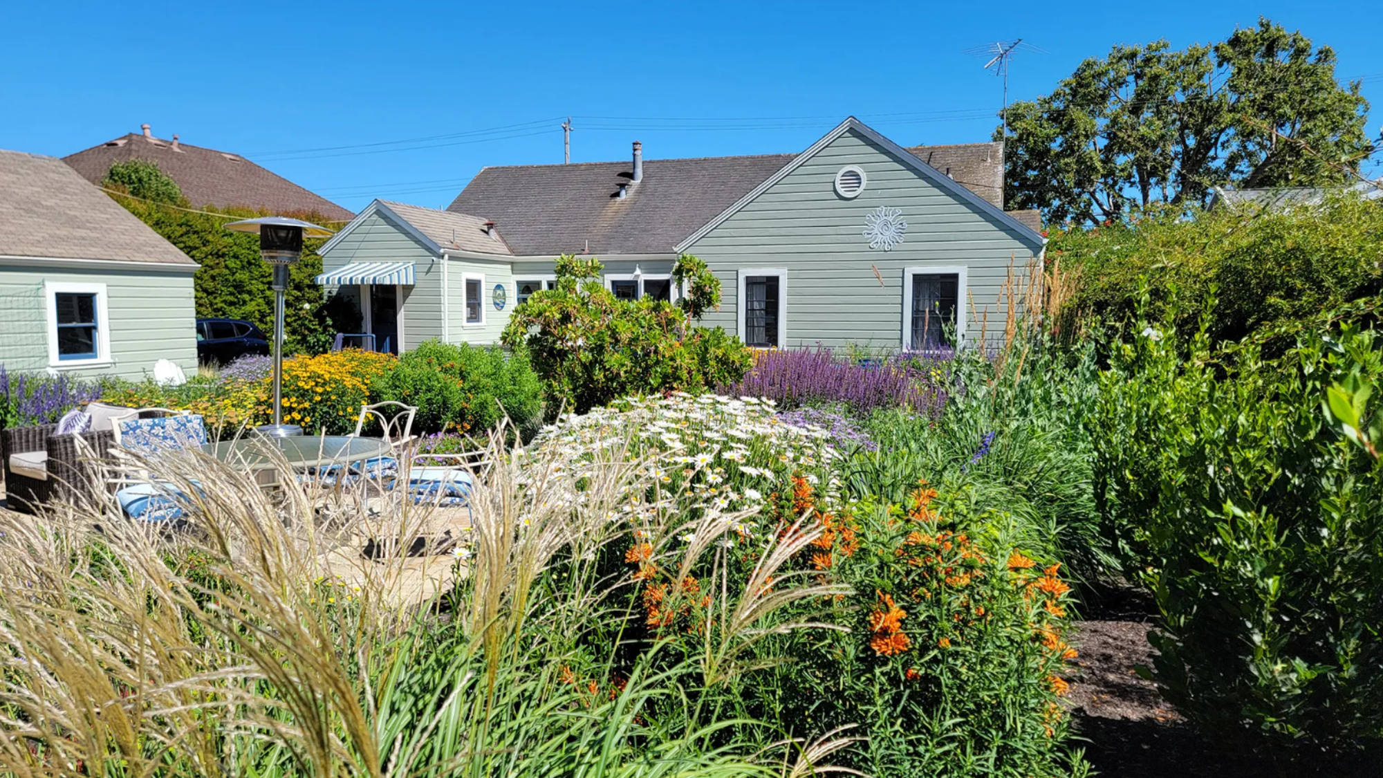 The Petaluma home with lush, pollinator-friendly plants blooming in the backyard.